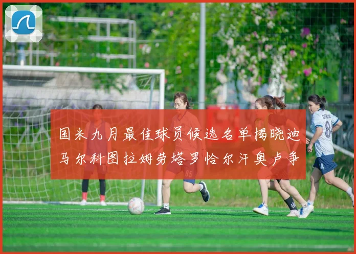 国米九月最佳球员候选名单揭晓迪马尔科图拉姆劳塔罗恰尔汗奥卢争夺荣誉
