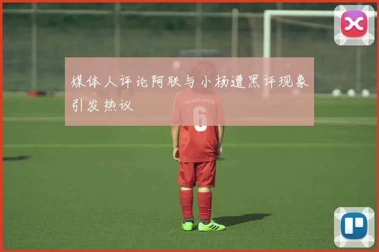 媒体人评论阿联与小杨遭黑评现象引发热议