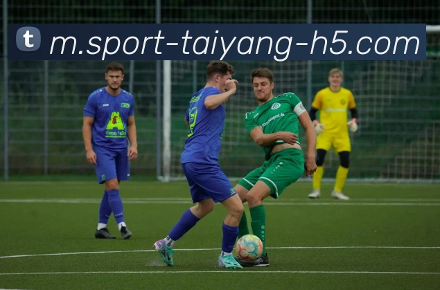 太阳城发展历程